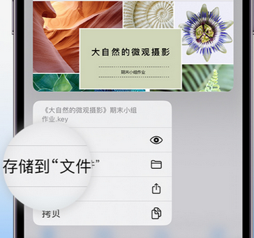 祥符apple维修中心分享iPhone文件应用中存储和找到下载文件