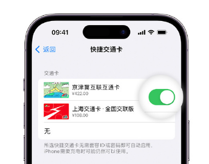 祥符apple维修点分享iPhone上更换Apple Pay快捷交通卡手绘卡面 