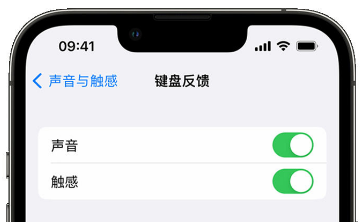 祥符苹果手机维修分享iPhone 14触感键盘使用方法 