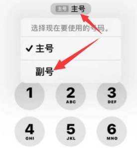 祥符苹果14维修店分享iPhone 14 Pro Max使用副卡打电话的方法 