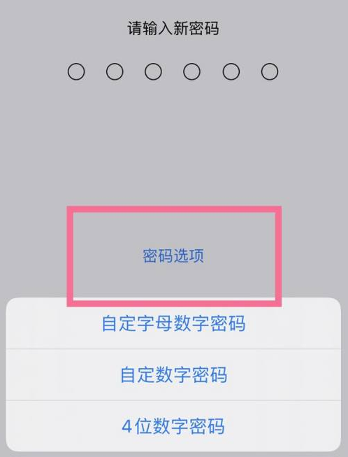 祥符苹果14维修分享iPhone 14plus设置密码的方法 