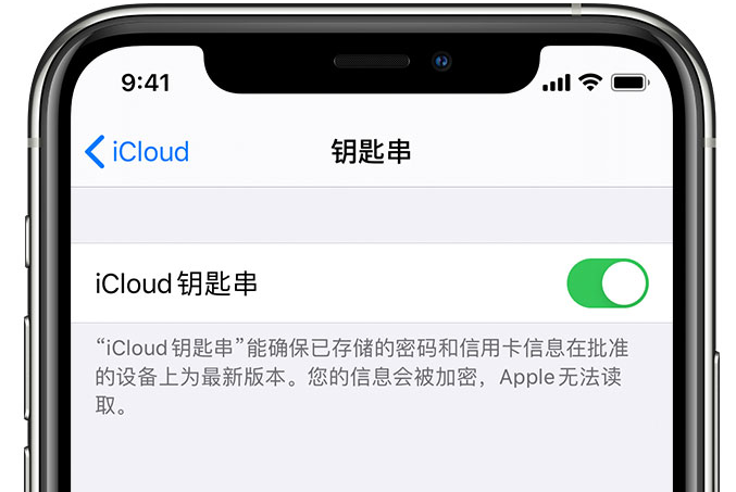 祥符苹果手机维修分享在 iPhone 上开启 iCloud 钥匙串之后会储存哪些信息 