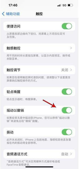 祥符苹果手机维修分享iPhone手机如何设置摇一摇删除文字 